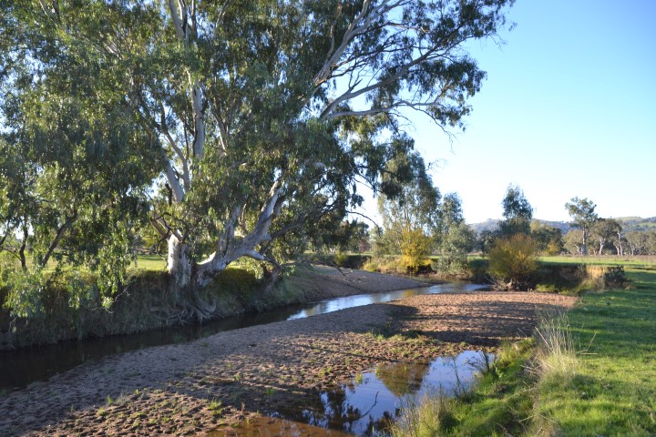 Yackandandah Creek