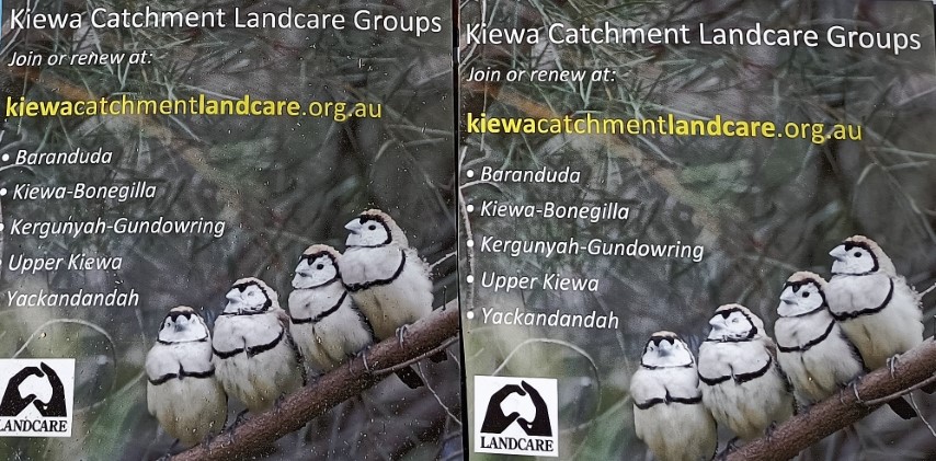 kclg fridge magnets (Small)