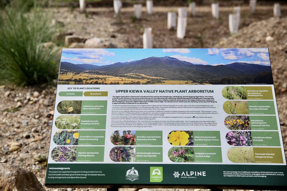 Upper Kiewa Landcare Upper Kiewa Arboretum