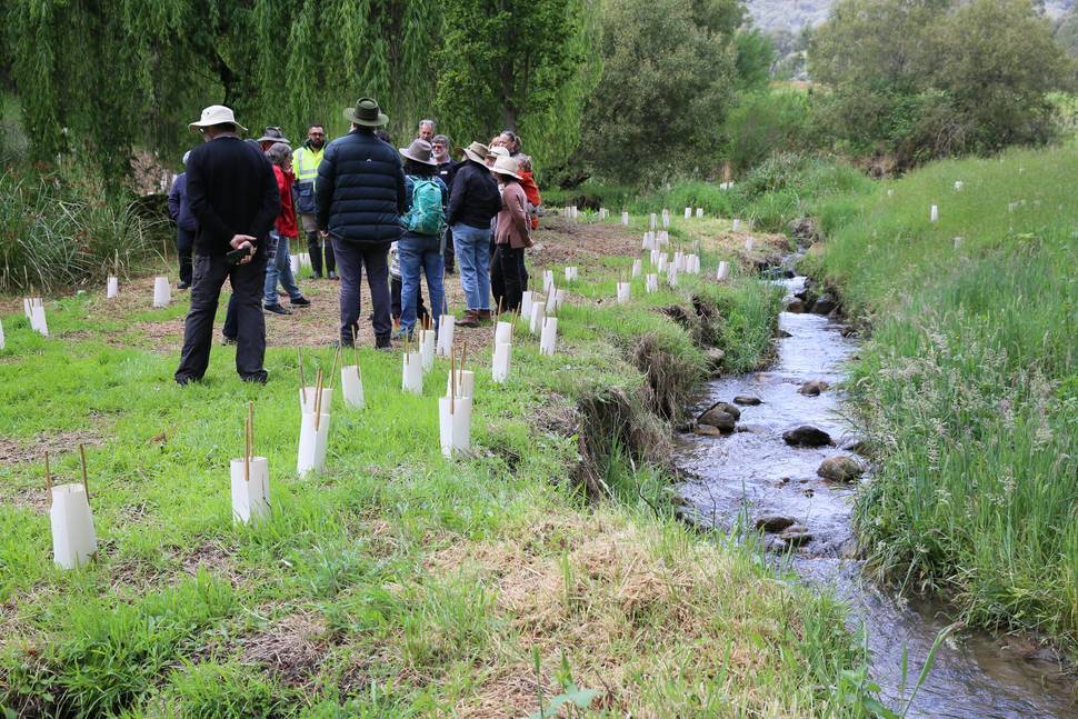 Kergunyah Landcare Group