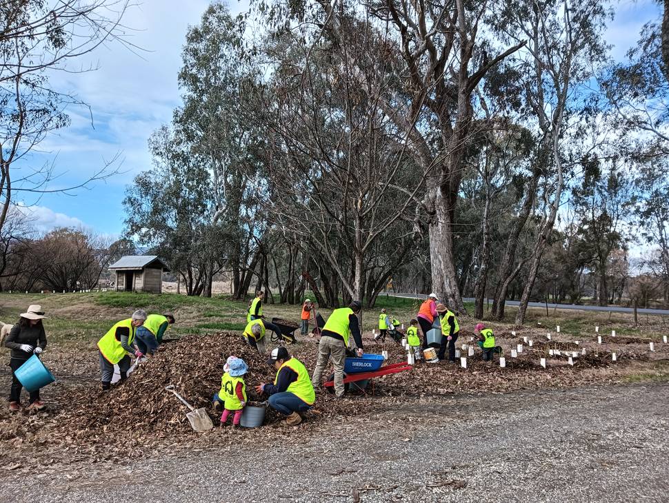 Kergunyah Streamside Reserve