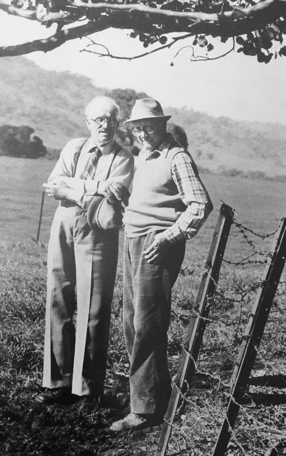 National Tree Care Award Hugh and John Whtye standing next to a sloping tree guard