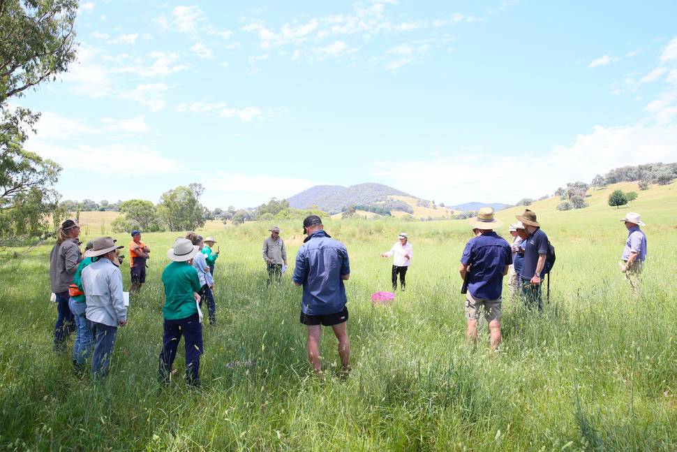 Kiewa Catchment Events