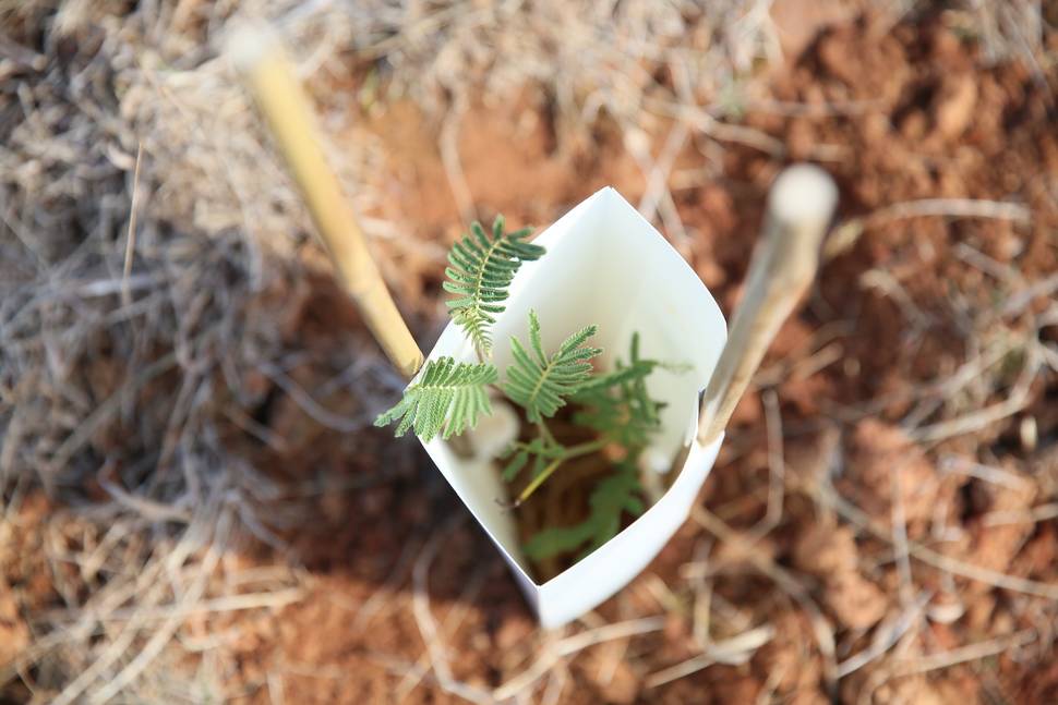 Kiewa Catchment - Get Involved